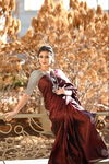 Radhika 304 Party Wear Wholesale Designer Sarees Catalog
